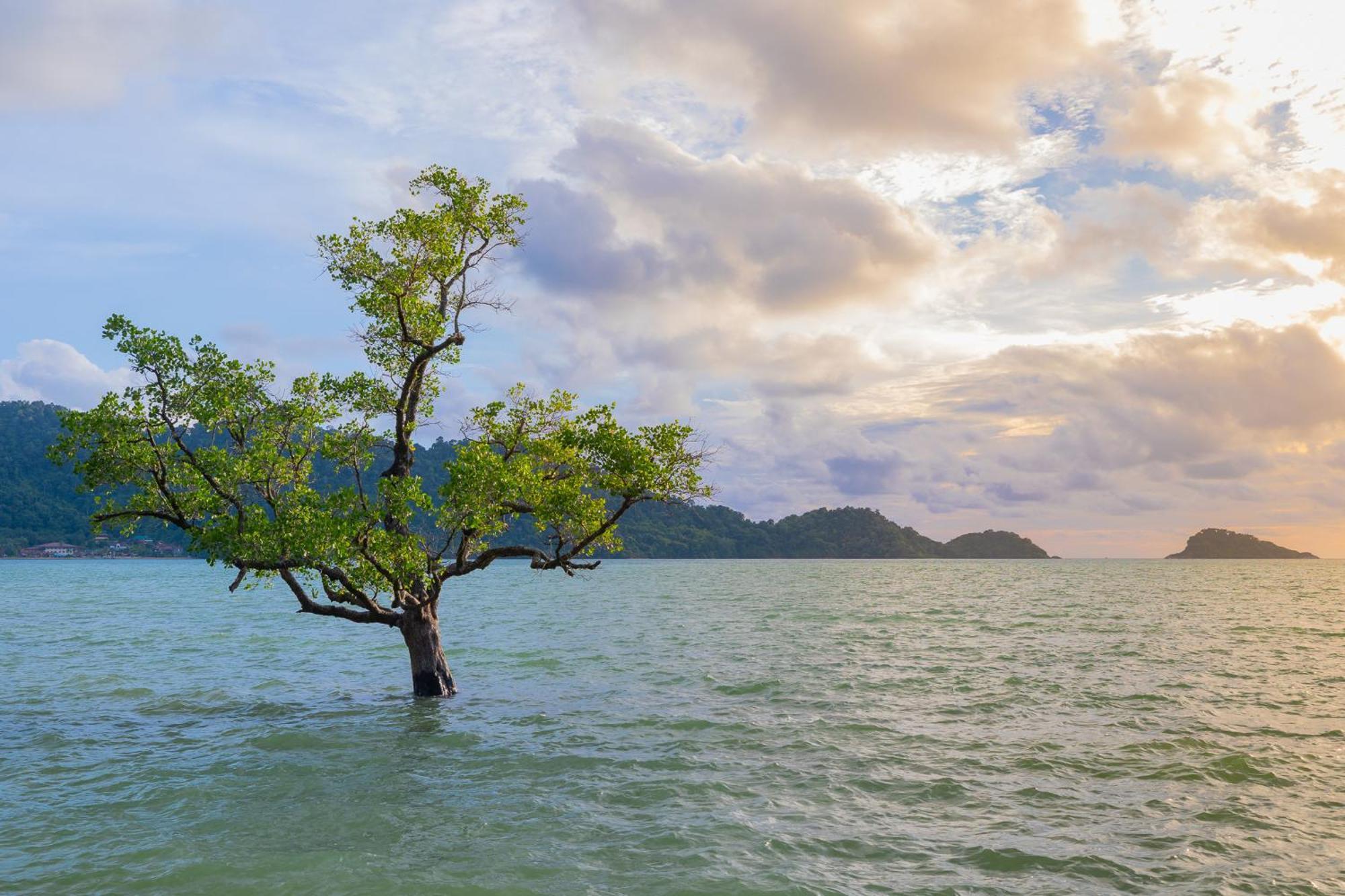 Utalay Koh Chang Villas Esterno foto